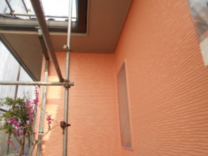 dscn0247