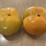 お見積り３件と秋の実り